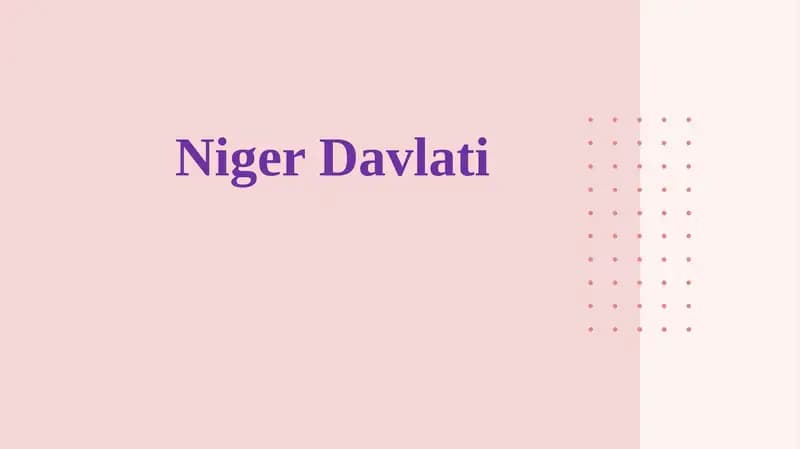 Niger Davlati