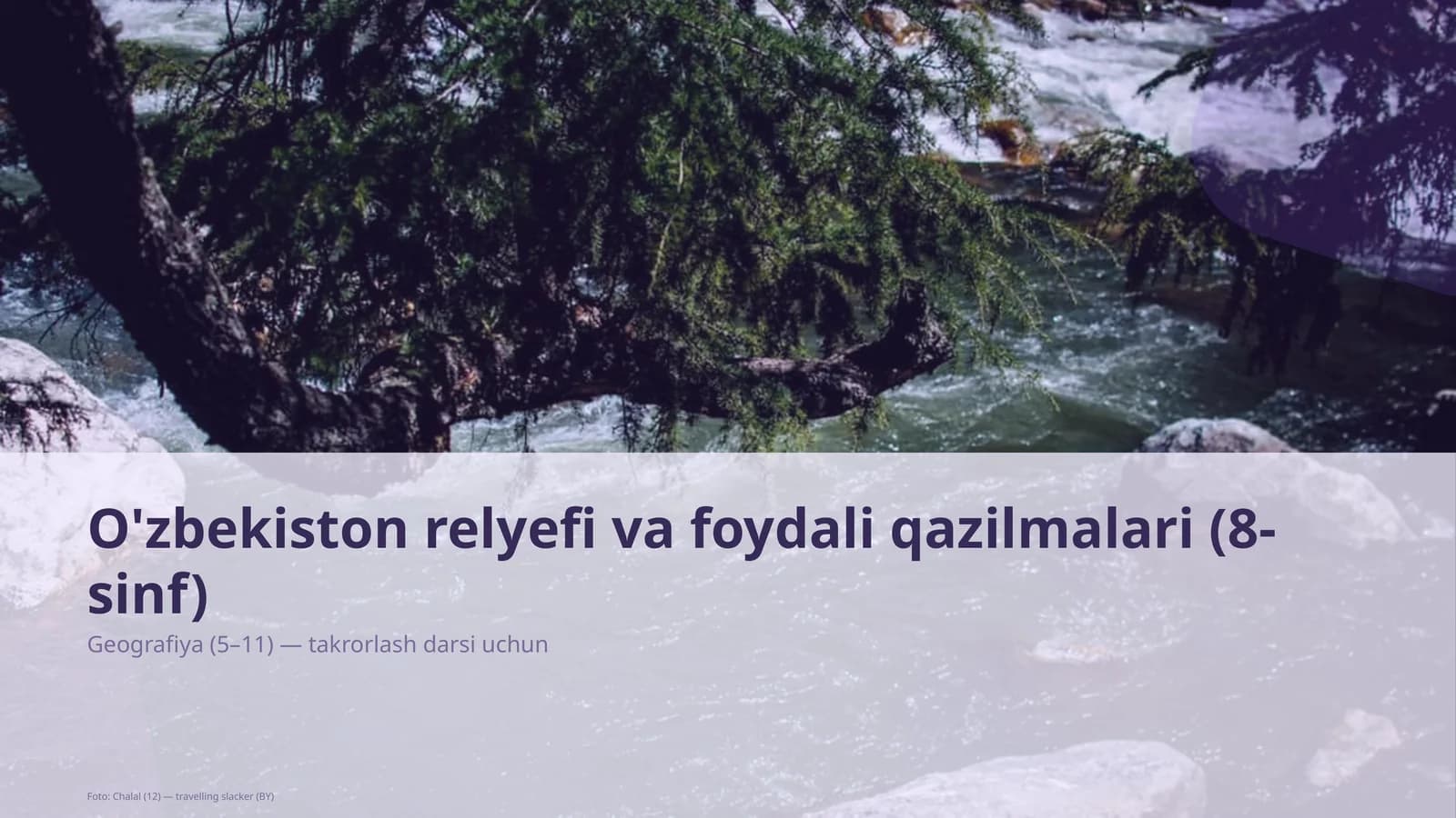 O'zbekiston relyefi va foydali qazilmalari (8-sinf)