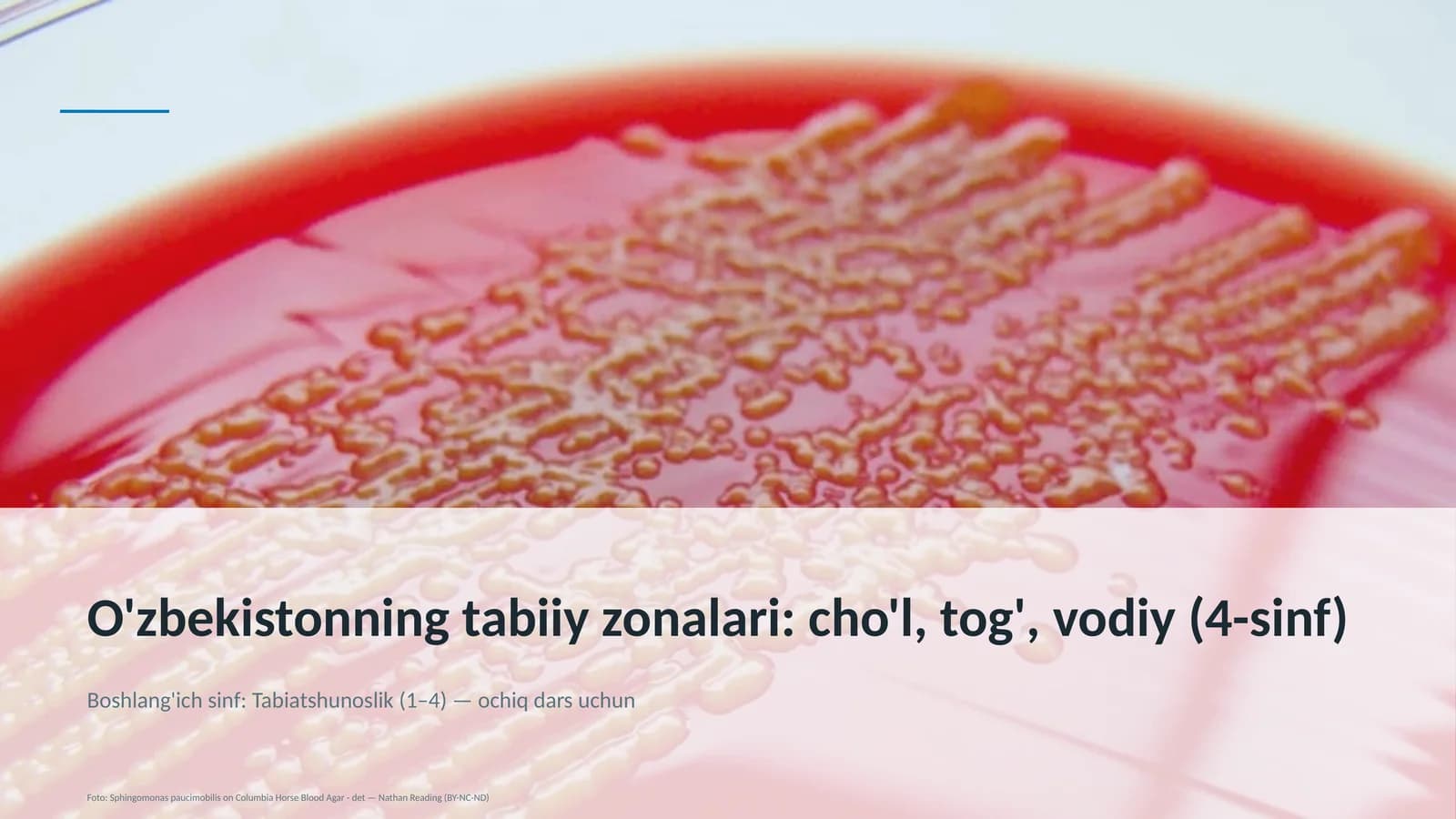 O'zbekistonning tabiiy zonalari: cho'l, tog', vodiy (4-sinf)
