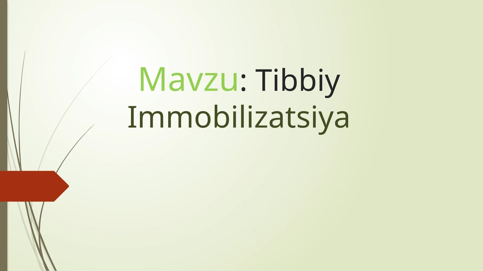 TibbiyImmobilizatsiya