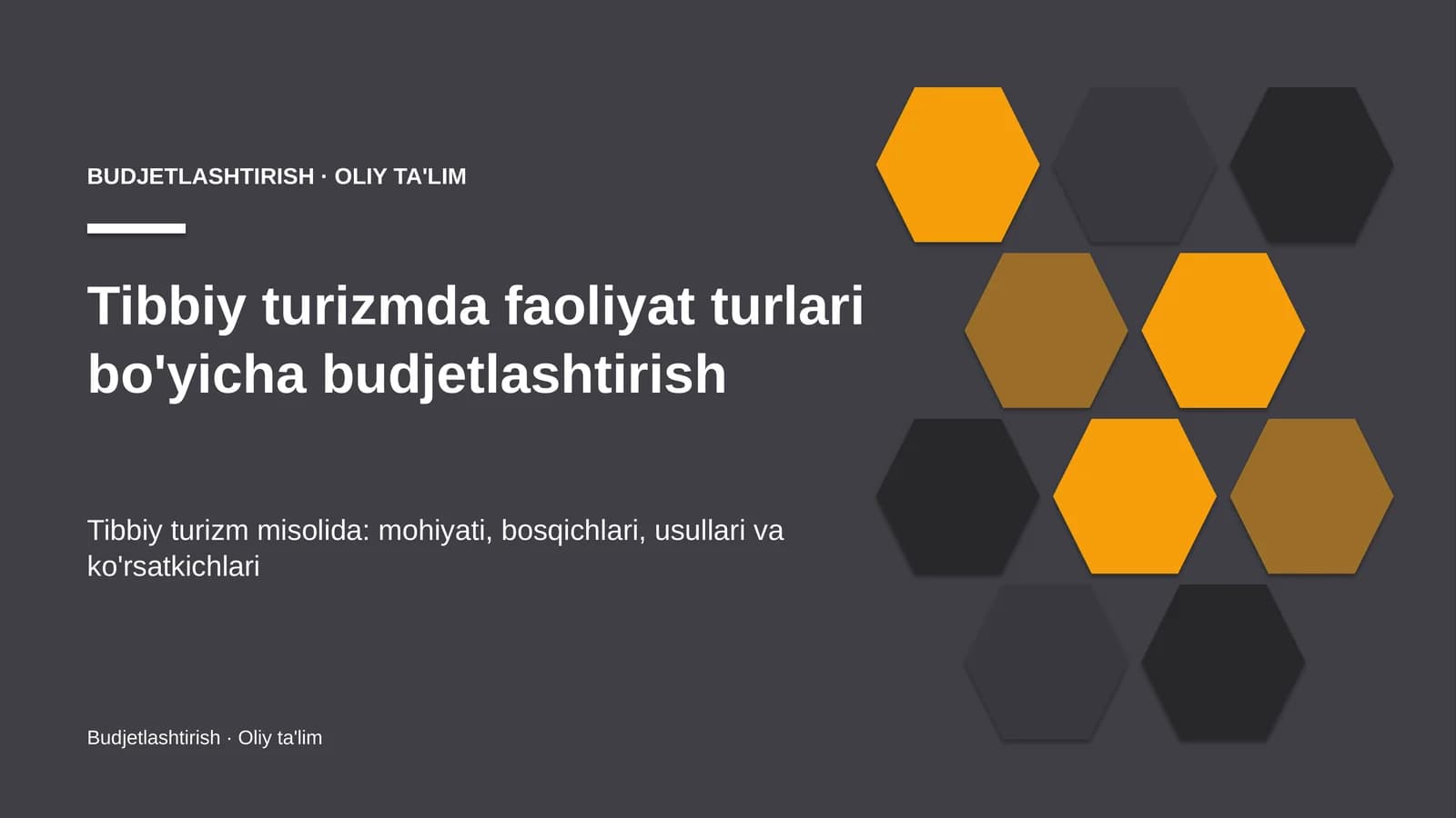 tibbiy turizmda faoliyat turlari bo'yicha budjetlashtirish 9488