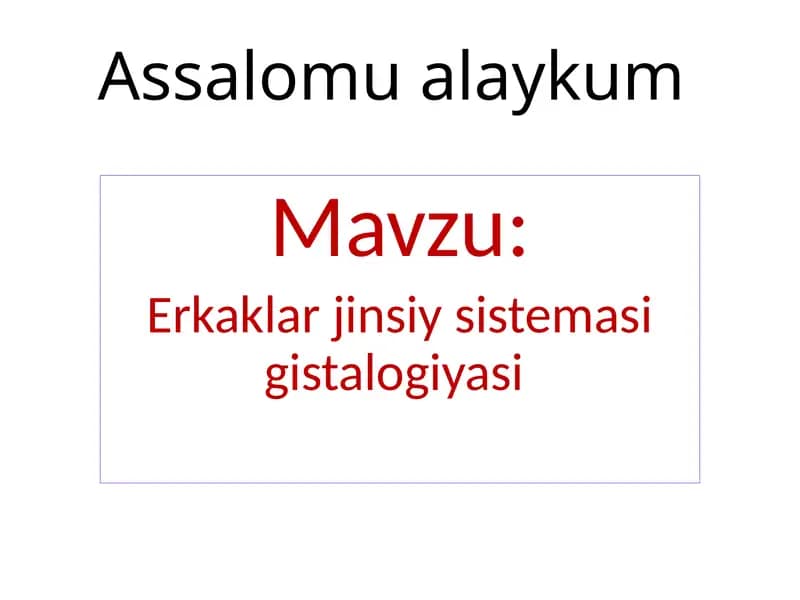 Erkaklar jinsiys sistema g'istalogiyasi