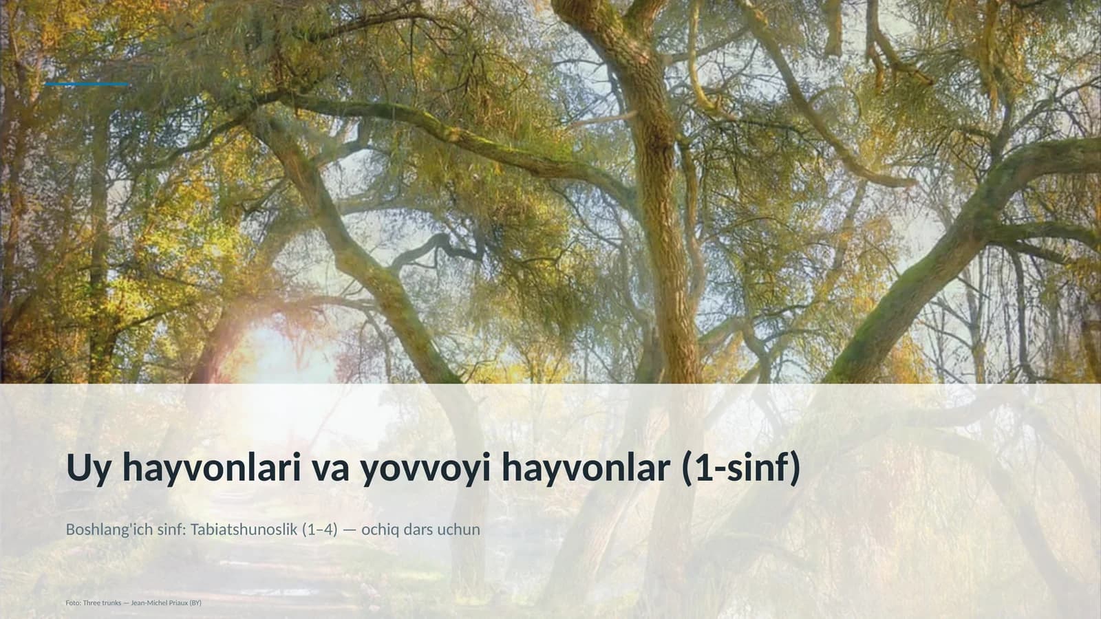 Uy hayvonlari va yovvoyi hayvonlar (1-sinf) Boshlang'ich sinf: Tabiatshunoslik (1– 4) — ochiq dars uchun
