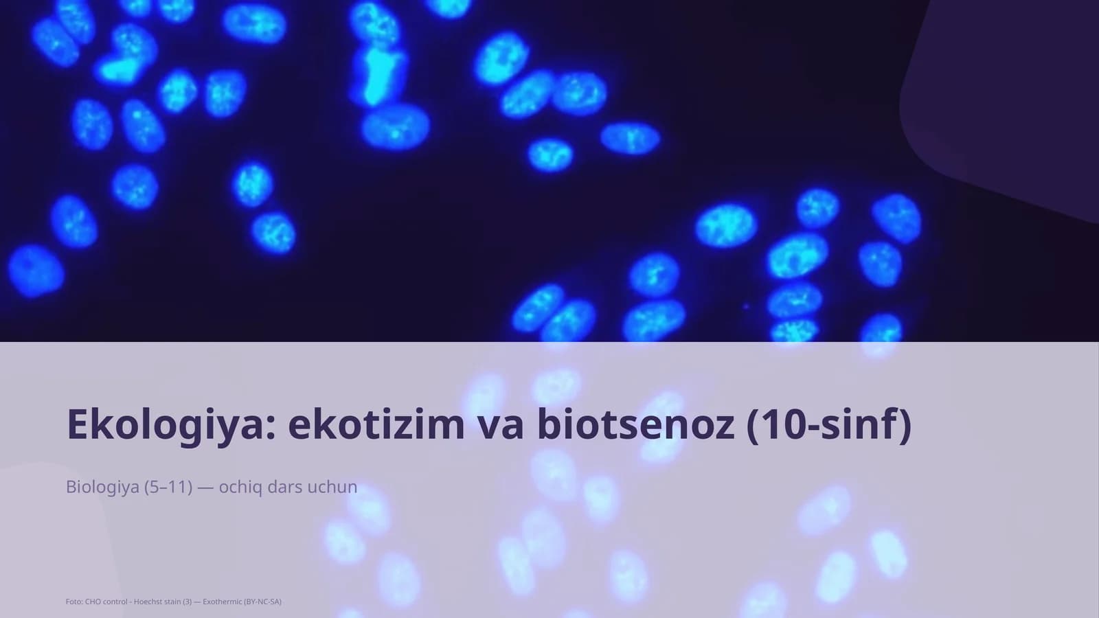 Ekologiya: ekotizim va biotsenoz (10-sinf)