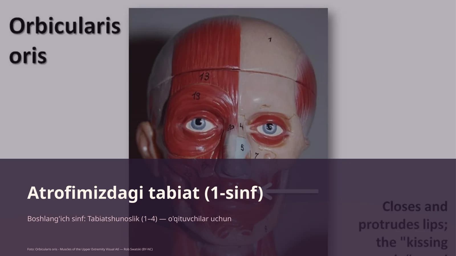 Atrofimizdagi tabiat (1-sinf)
