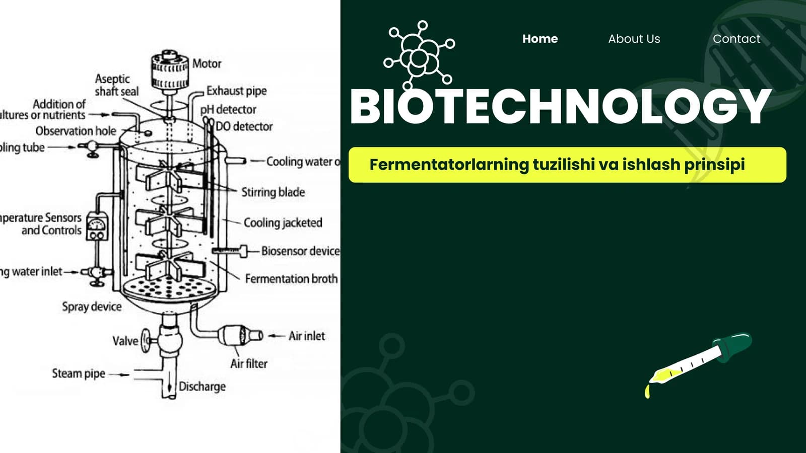 BIOTECHNOLOGY Fermentatorlarning tuzilishi va ishlash prinsipi
