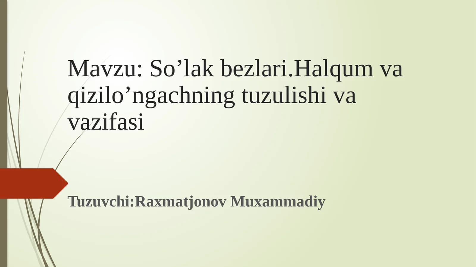 So’lak bezlari.Halqum va qizilo’ngachning tuzulishi va vazifasi