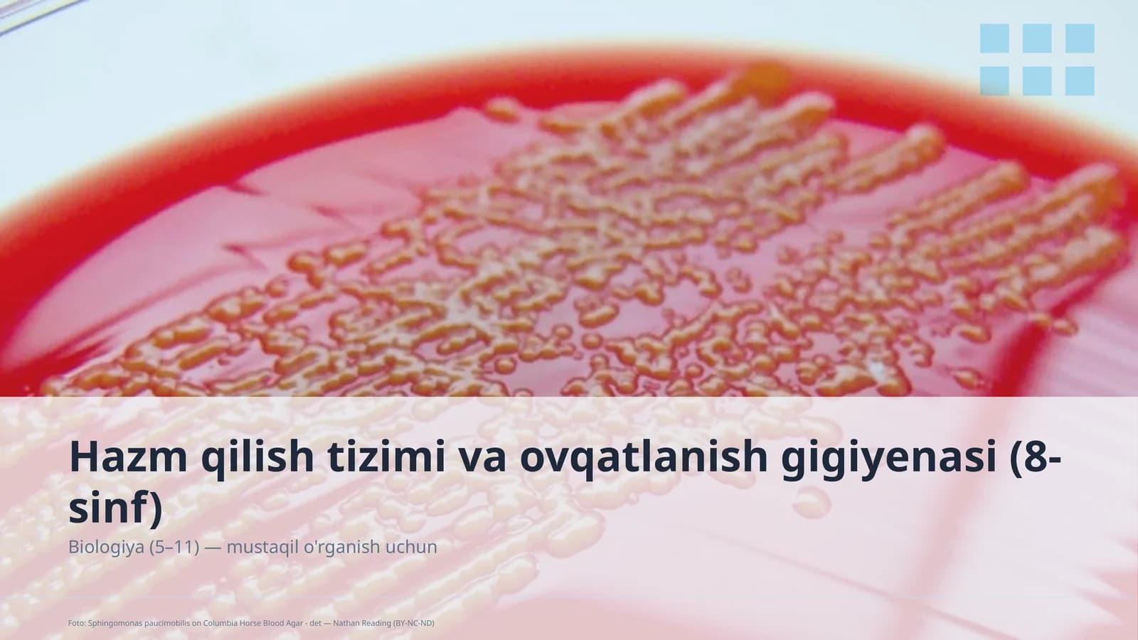 Hazm qilish tizimi va ovqatlanish gigiyenasi (8-sinf)