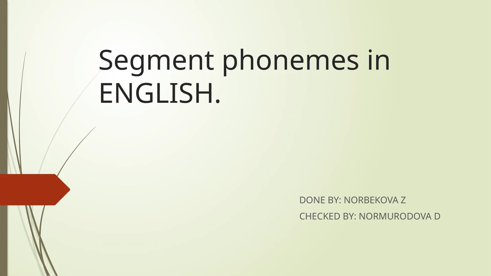 Segment phonemes in ENGLISH