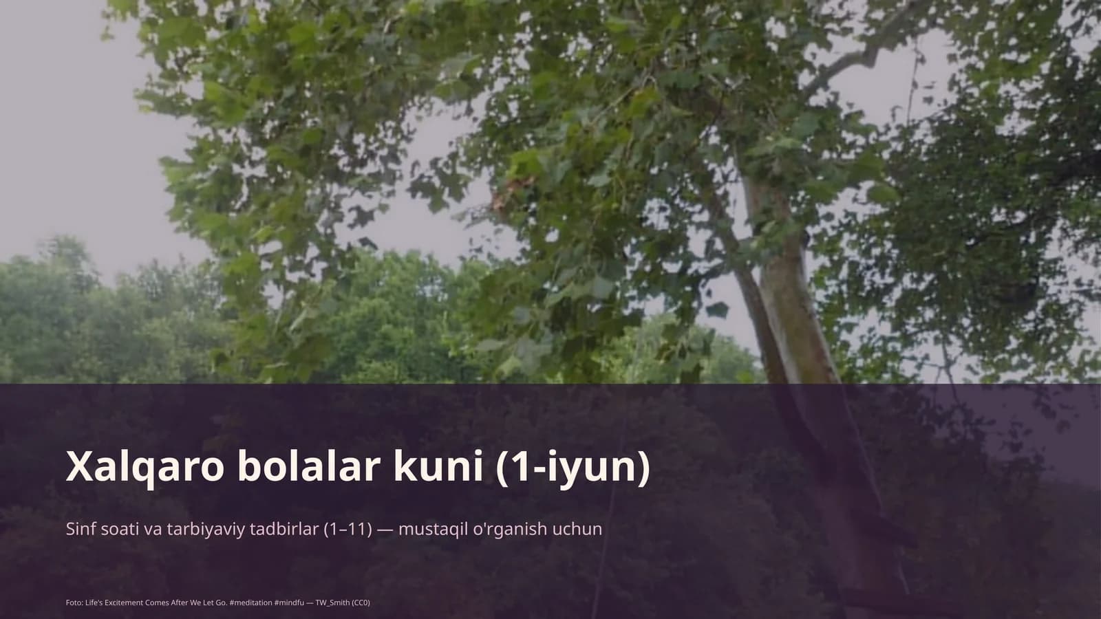 Sinf soati va tarbiyaviy tadbirlar
