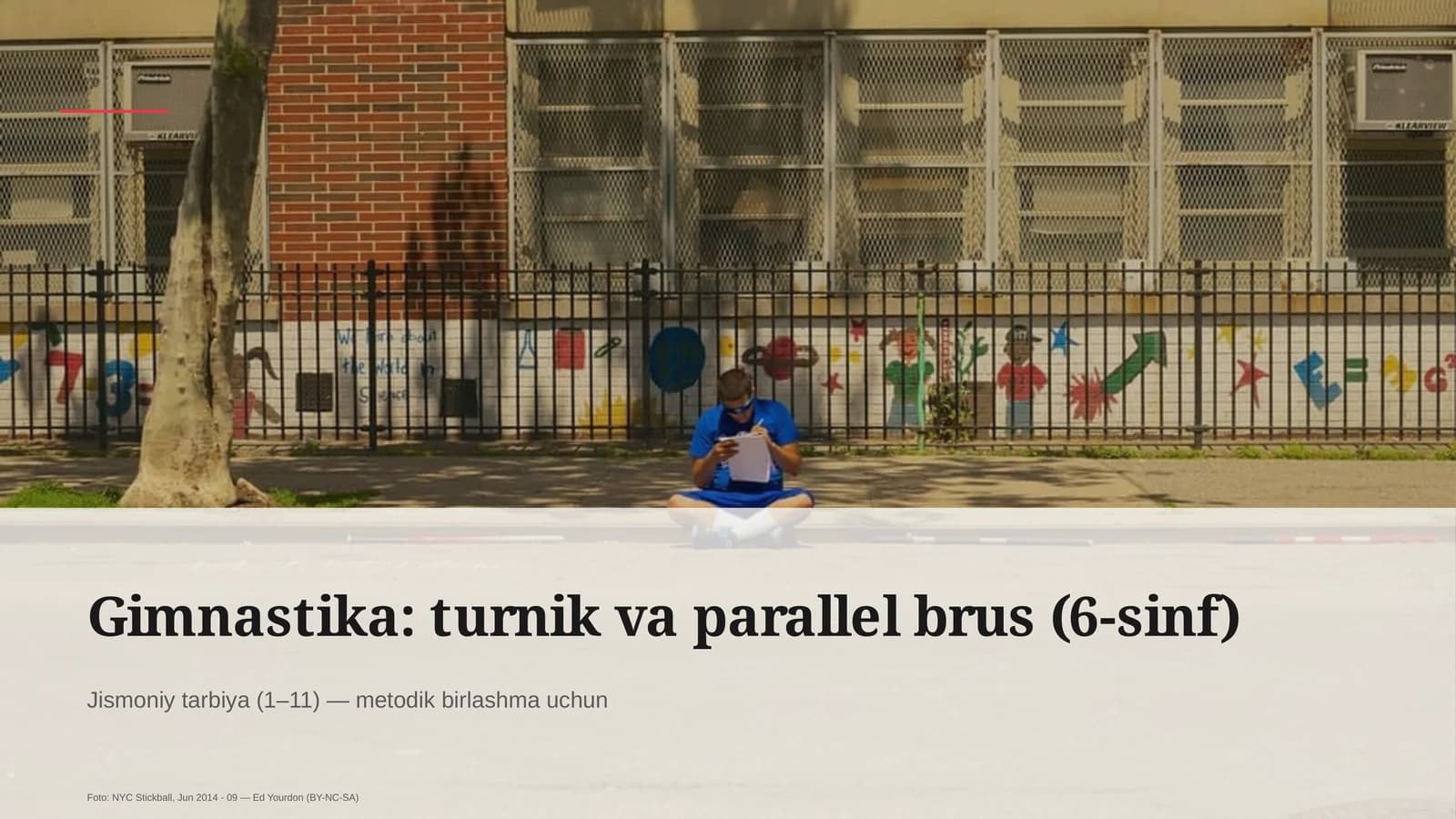 Gimnastika: turnik va parallel brus (6-sinf)