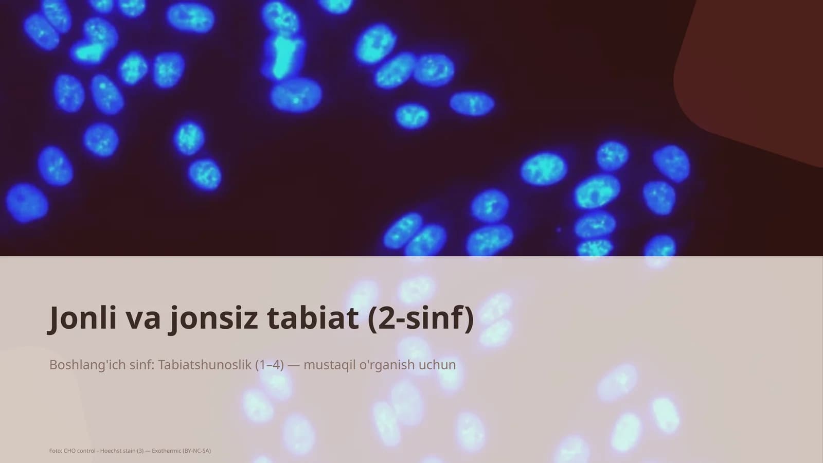 Jonli va jonsiz tabiat (2-sinf)