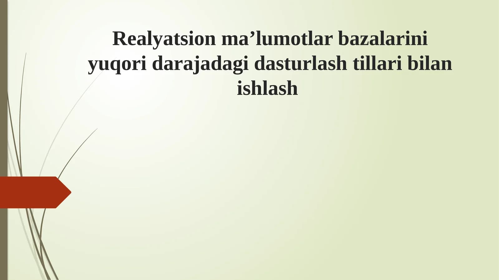 Realyatsion ma’lumotlar bazalarini yuqori darajadagi dasturlash tillari bilan ishlash