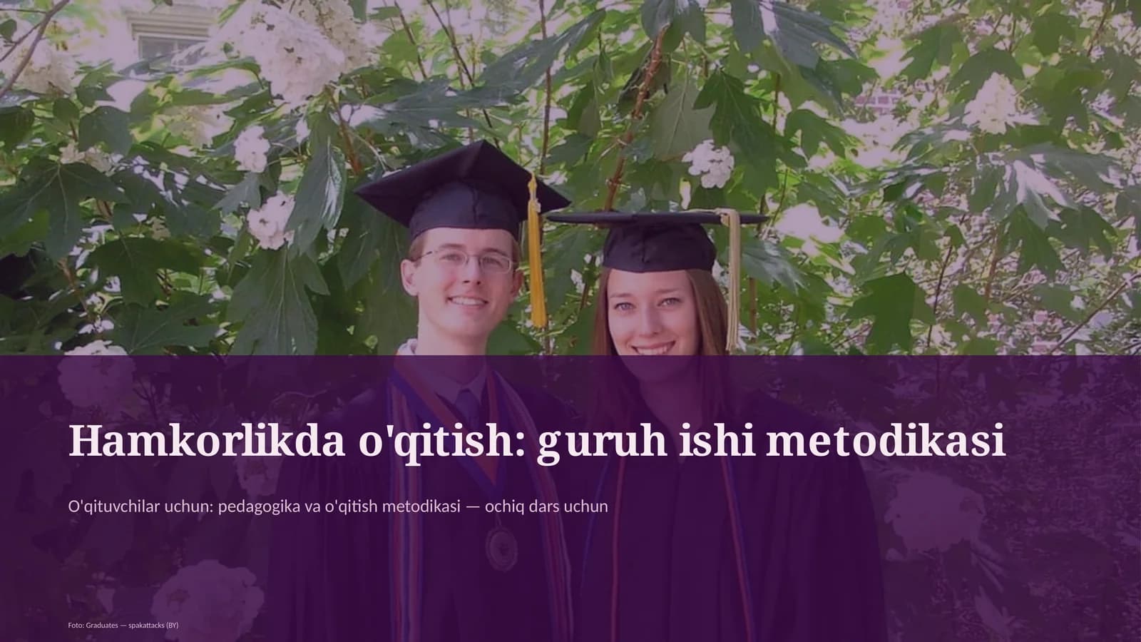Hamkorlikda o'qitish: guruh ishi metodikasi