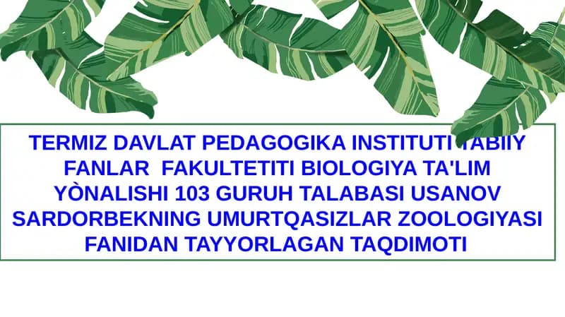 Halqali chuvalchanglar (Annelida) tipi