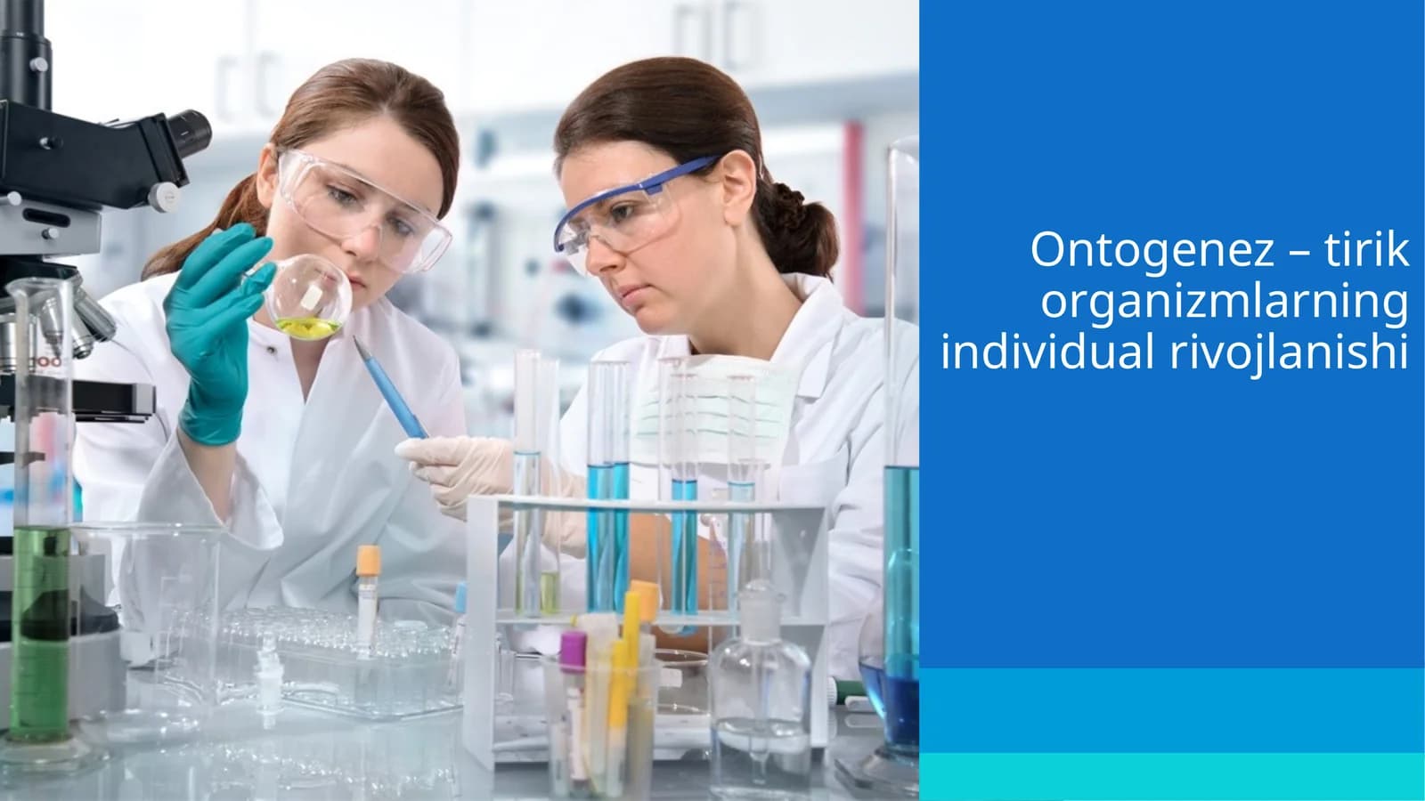 Ontogenez–tirikorganizmlarningindividualrivojlanishi