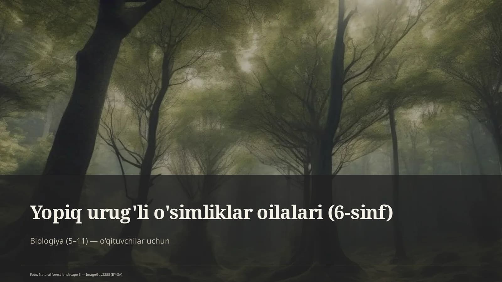 Yopiq urug'li o'simliklar oilalari (6-sinf)