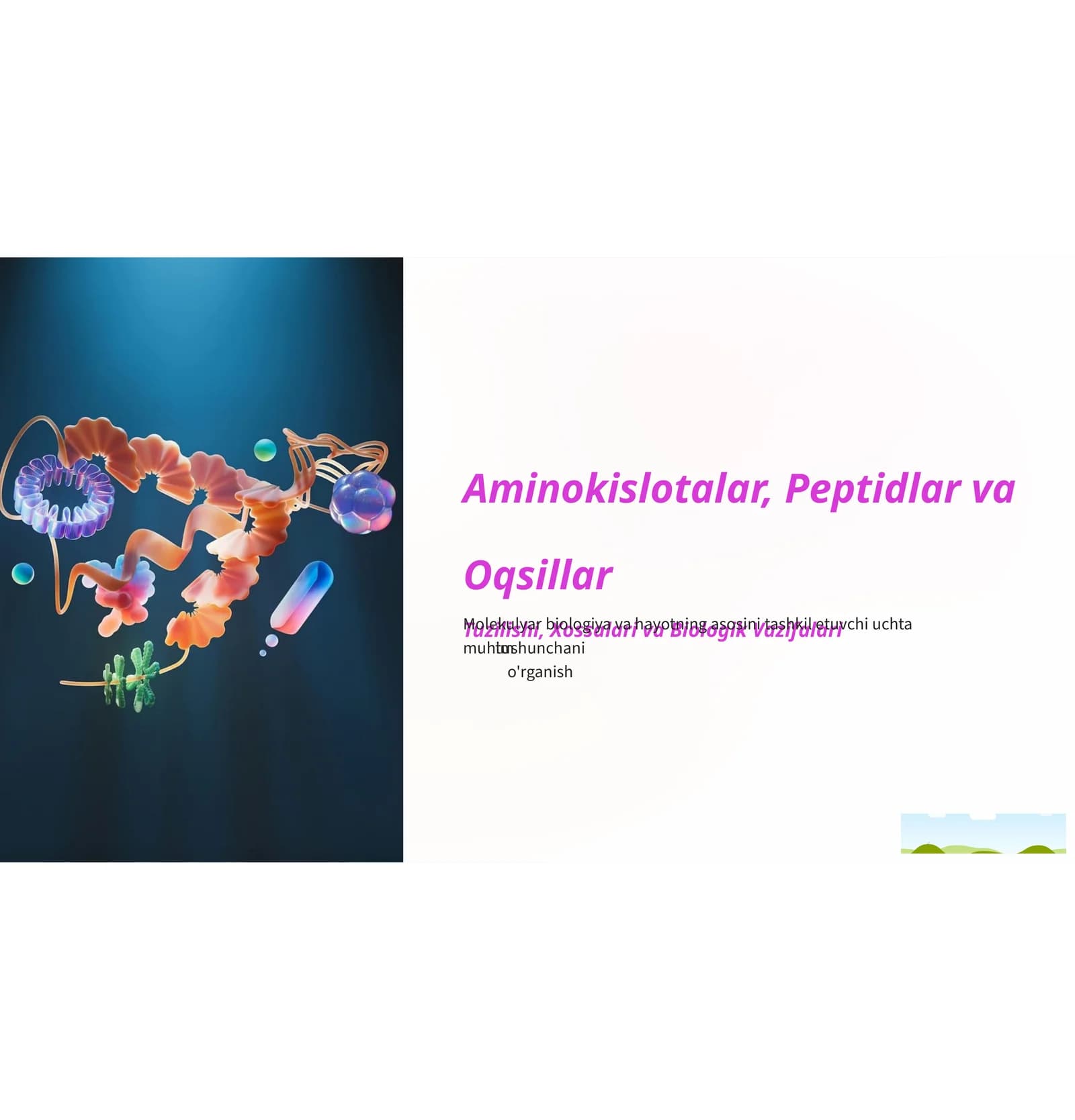 Aminokislotalar, Peptidlar va Oqsillar Tuzilishi