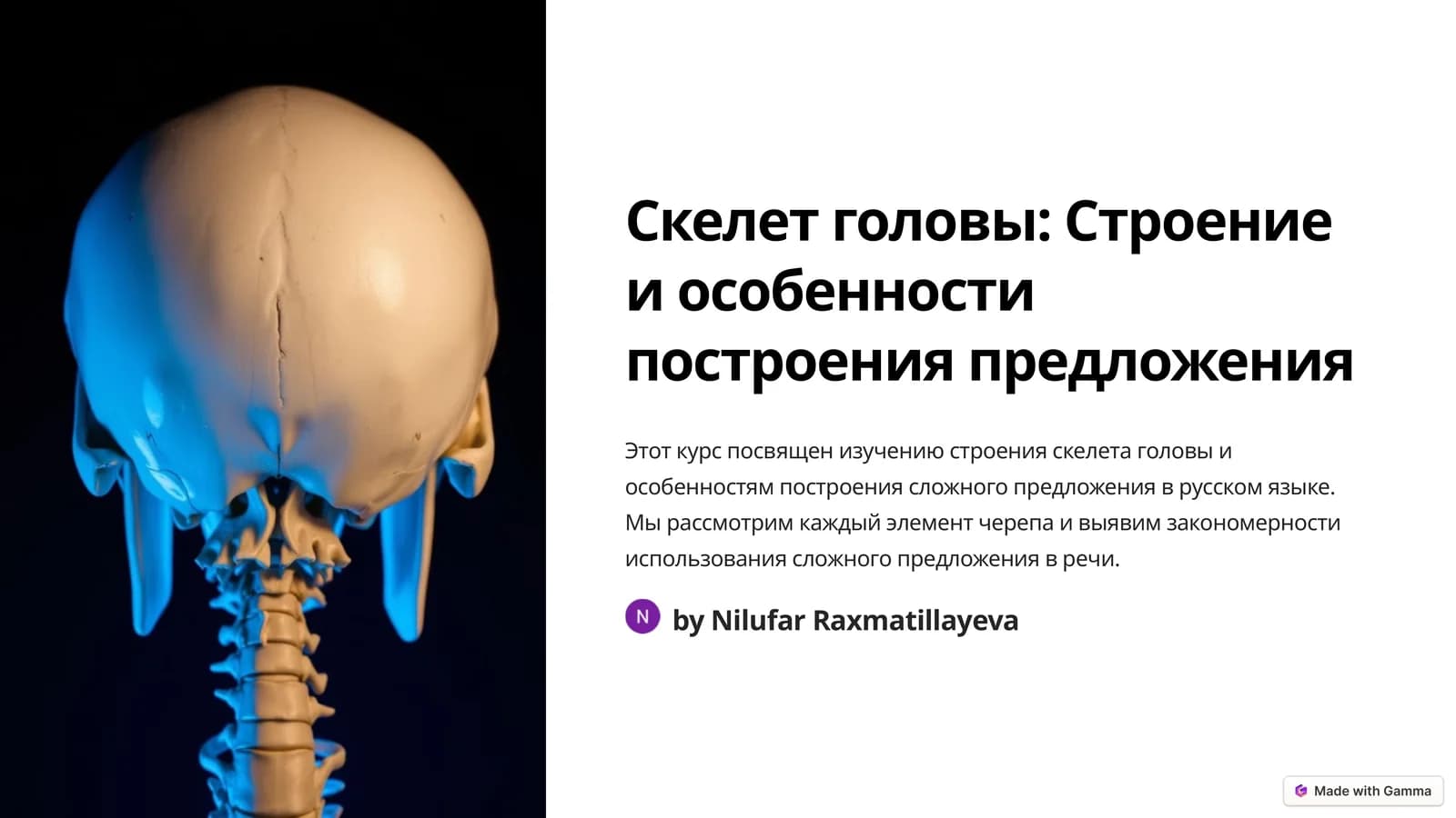 Скелет головы: Строение и особенности построения предложения