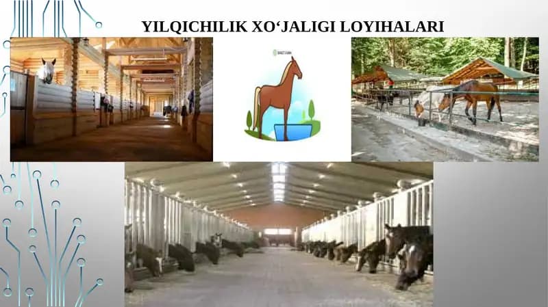 YILQICHILIK XO‘JALIGI LOYIHALARI