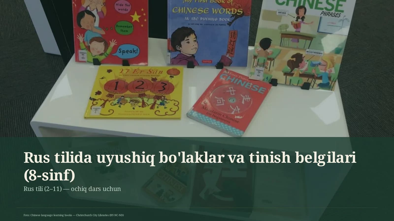 Rus tilida uyushiq bo'laklar va tinish belgilari (8-sinf)