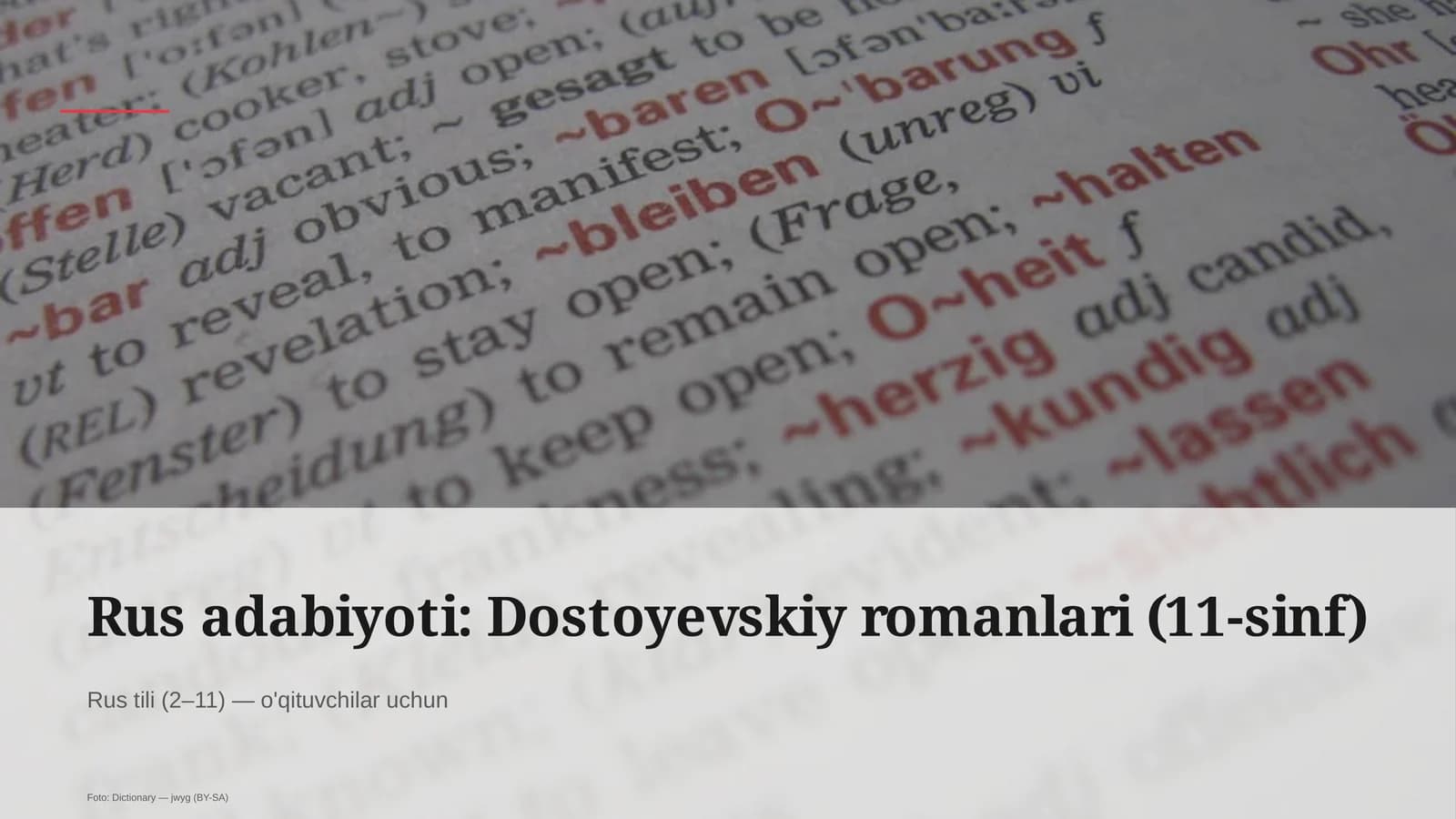 Rus adabiyoti: Dostoyevskiy romanlari (11-sinf)