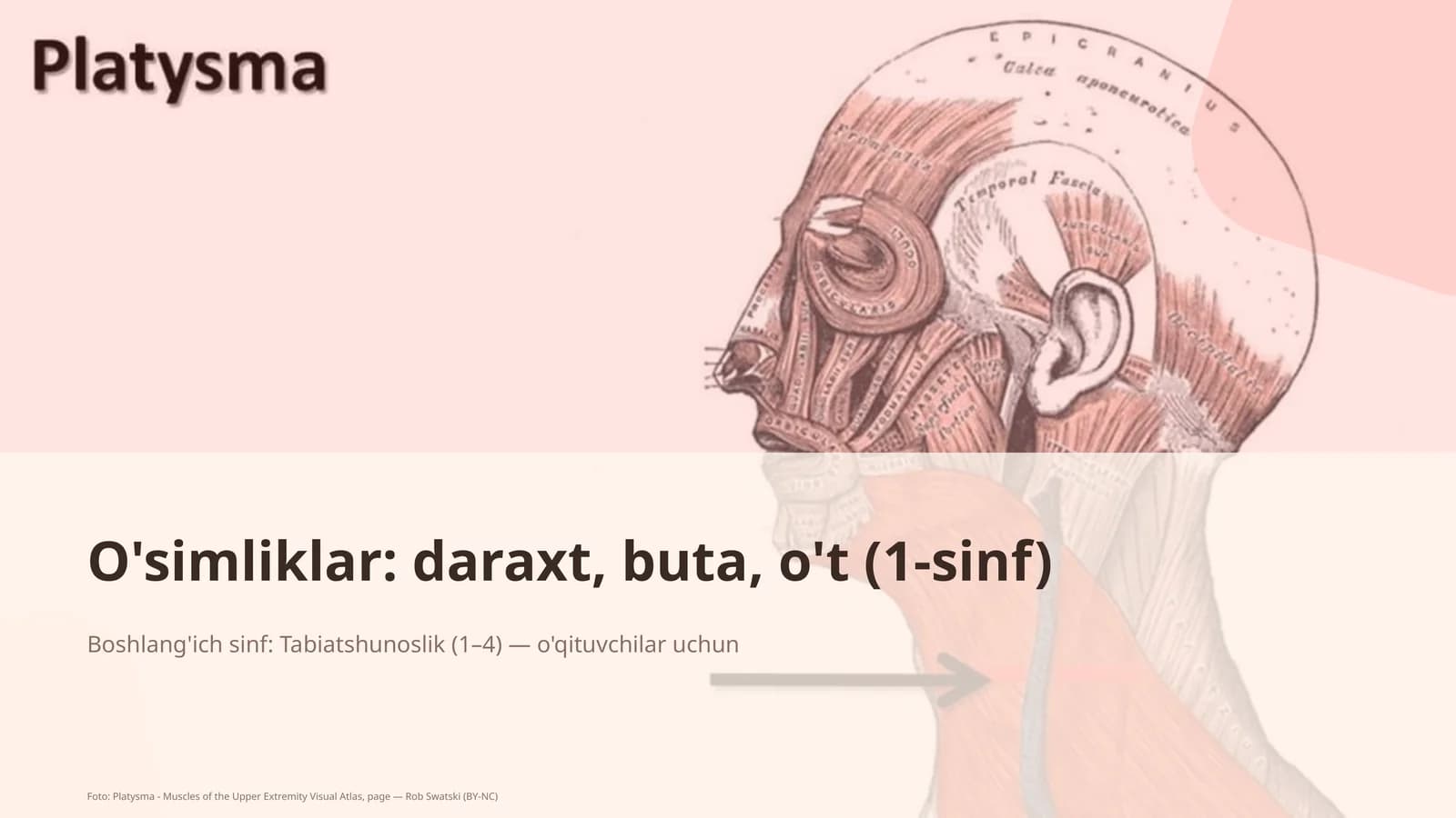 Tabiatshunoslik