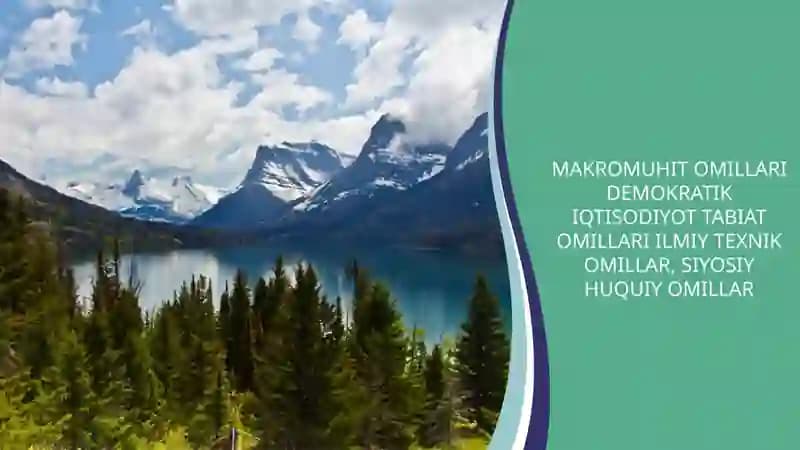 MAKROMUHIT OMILLARI DEMOKRATIK IQTISODIYOT TABIAT OMILLARI ILMIY TEXNIK OMILLAR, SIYOSIY HUQUIY OMILLAR
