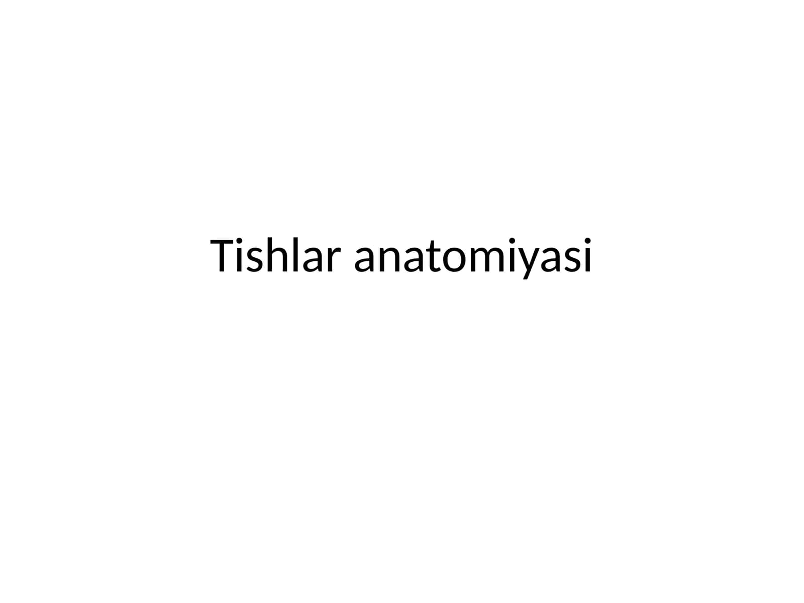 Tishlaranatomiyasi