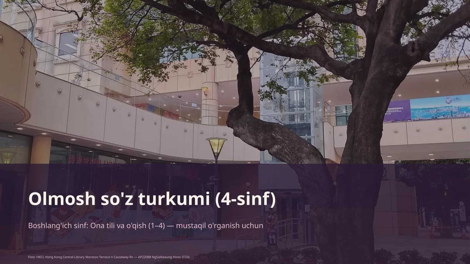 Olmosh so'z turkumi (4-sinf)