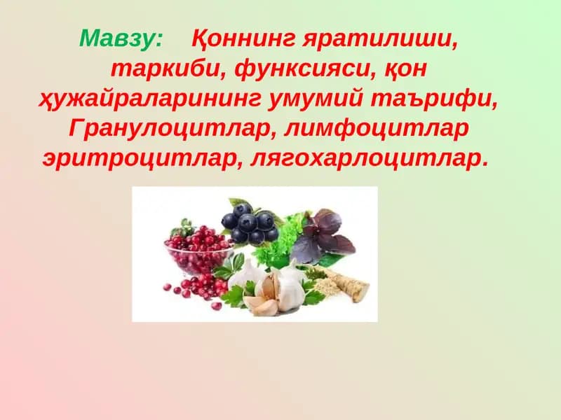 Қon tizimi