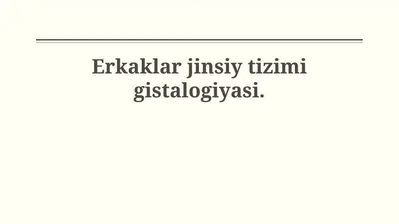 Erkaklar jinsiy tizimi gistalogiyasi