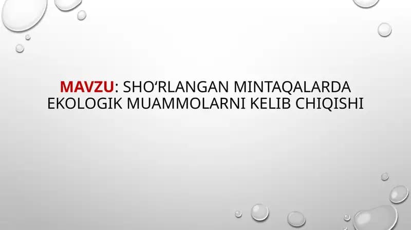 Shoʻrlangan mintaqalarda ekologik muammolarni kelib chiqishi