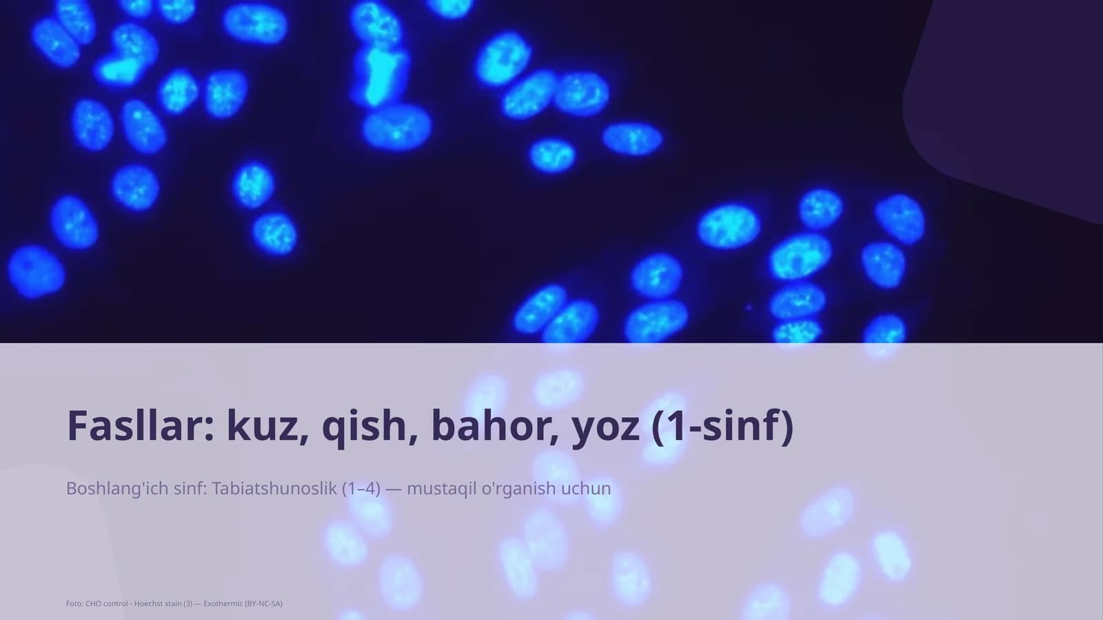 Tabiatshunoslik Dars Rejasi