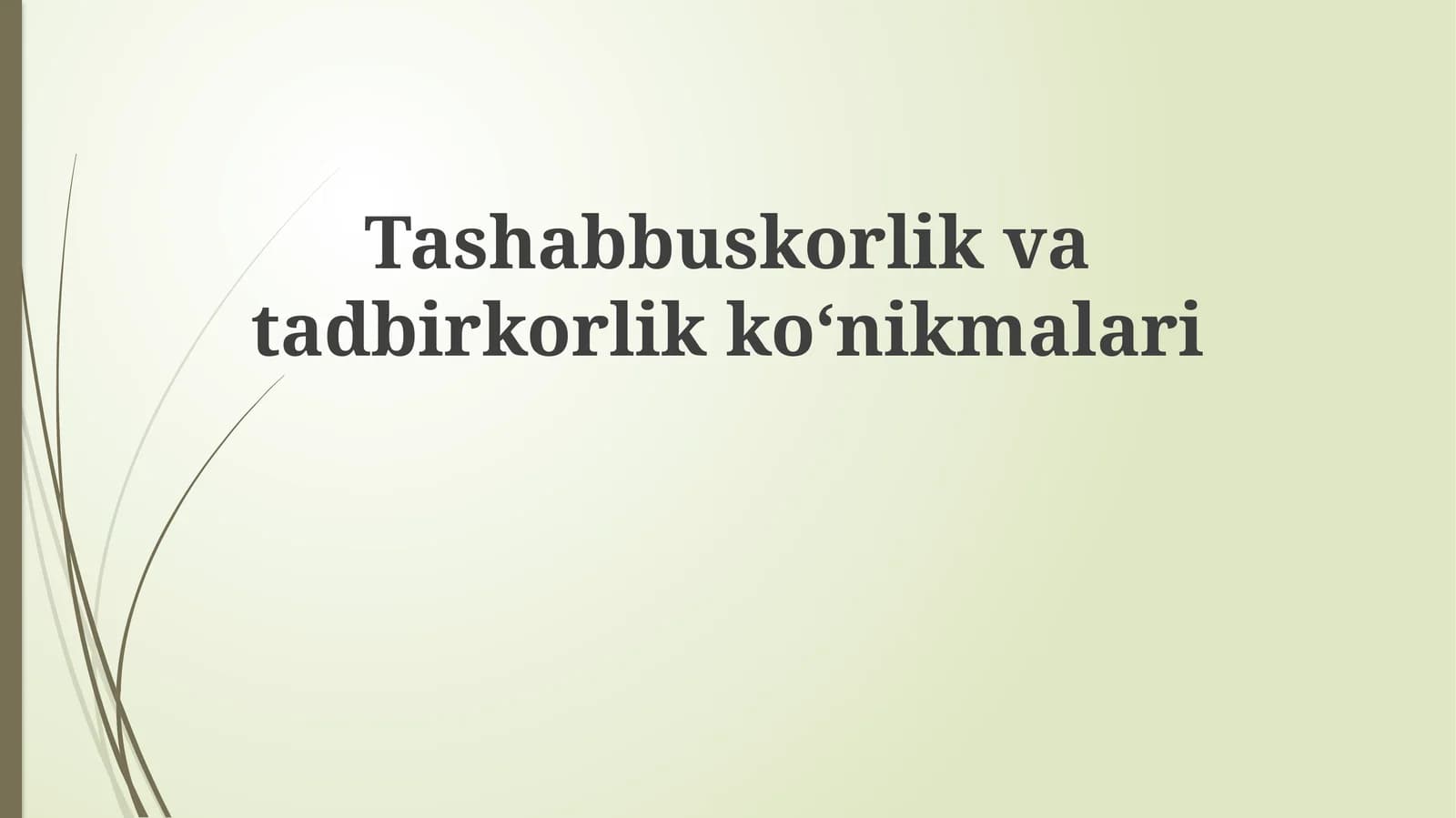 Tashabbuskorlik va tadbirkorlik koʻnikmalari