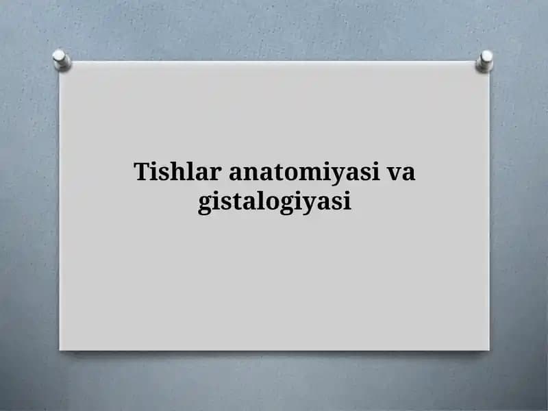 Tishlaranatomiyasi va gistologiyasi