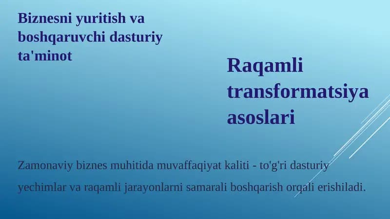 Biznesni yuritish va boshqaruvchi dasturiy ta'minot