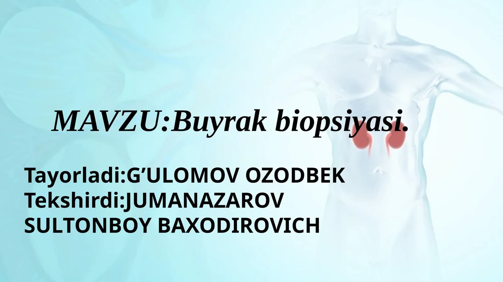 Buyrak biopsiyasi