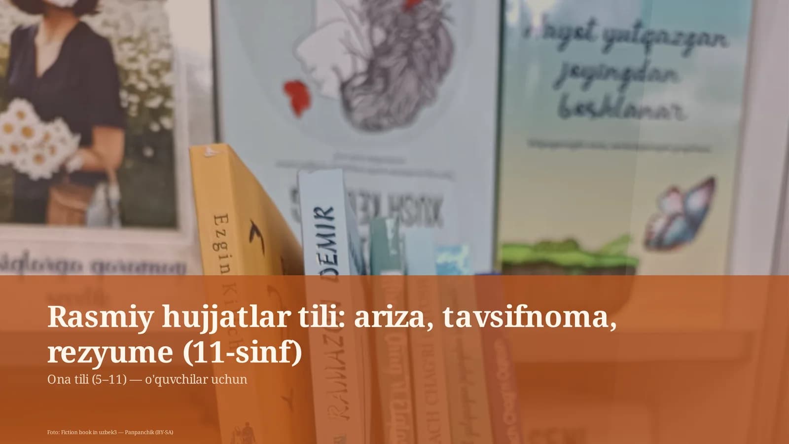 Rasmiy hujjatlar tili: ariza, tavsifnoma, rezyume (11-sinf)