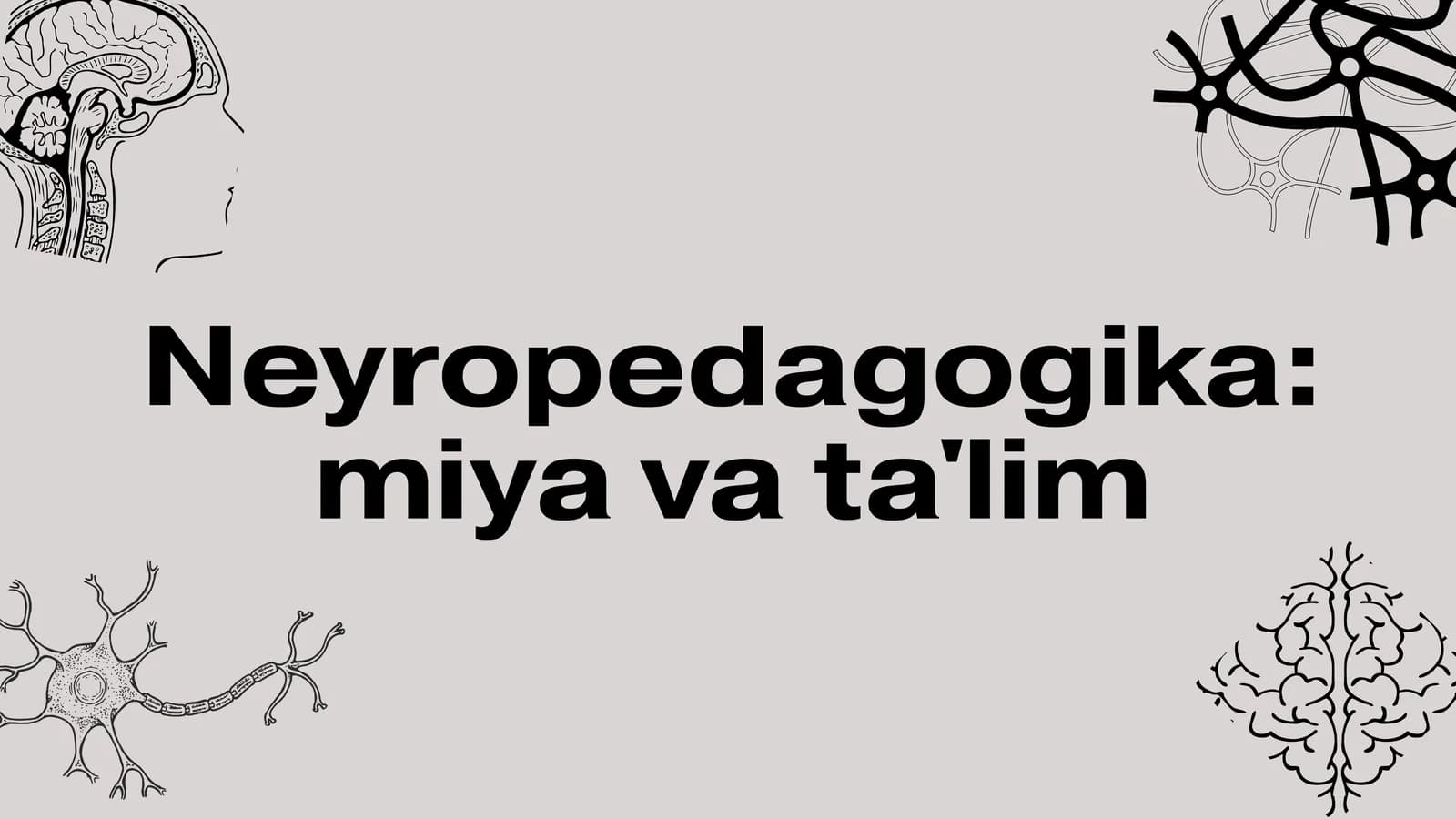 Neyropedagogika: miya va ta'lim