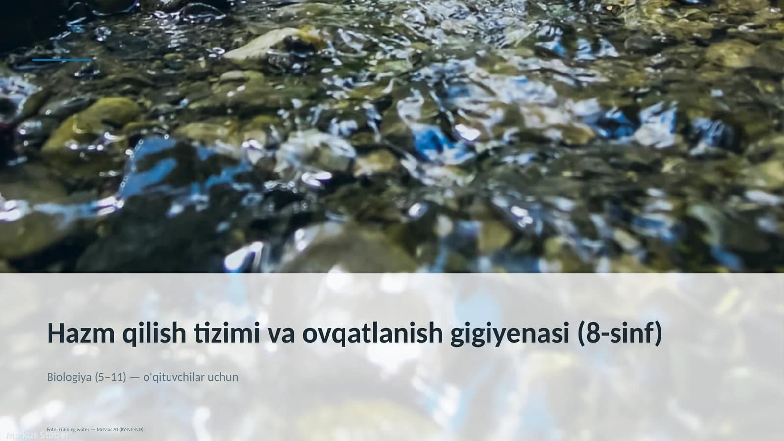 Hazm qilish tizimi va ovqatlanish gigiyenasi (8-sinf)