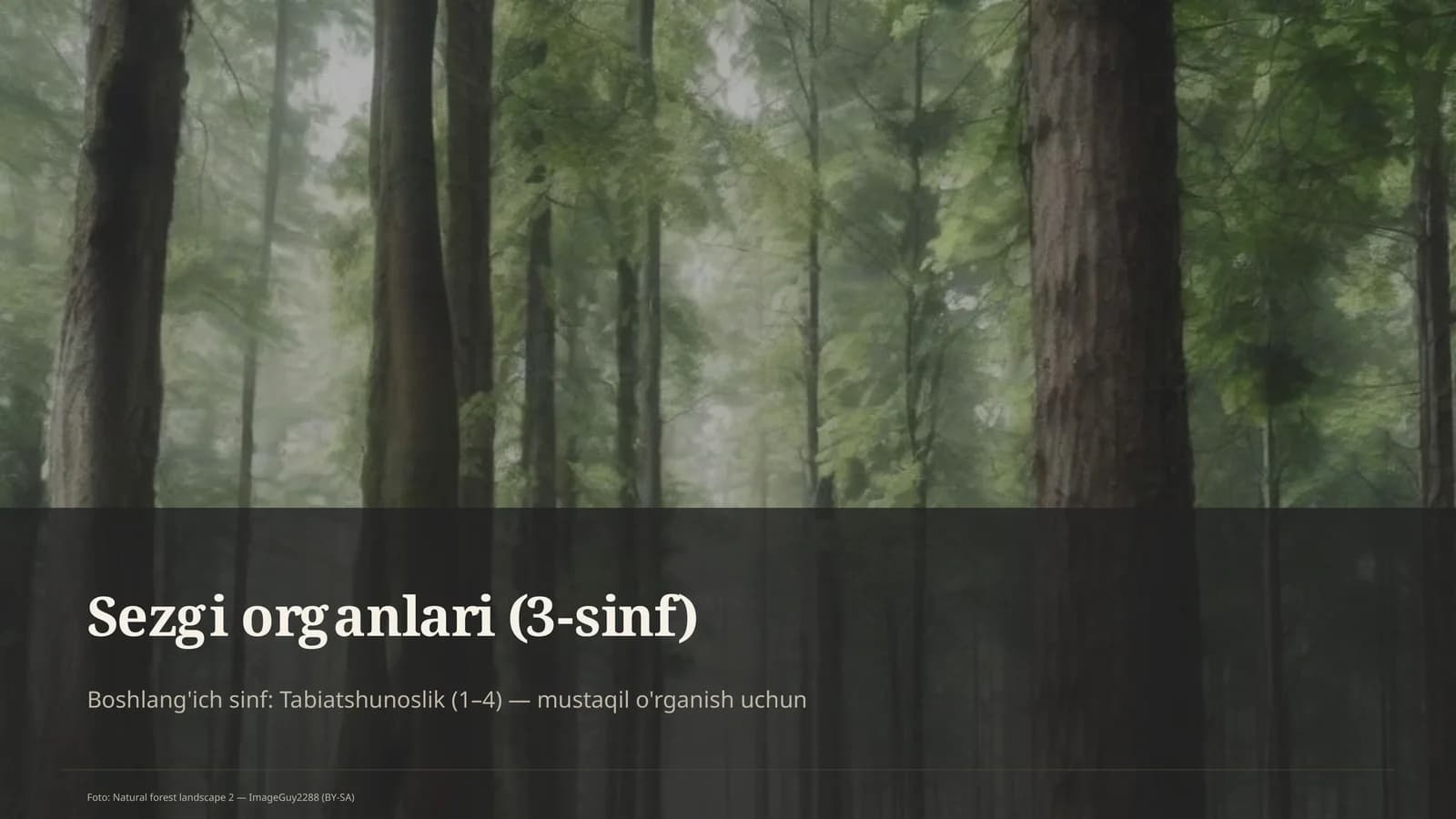 Sezgi organlari (3-sinf)