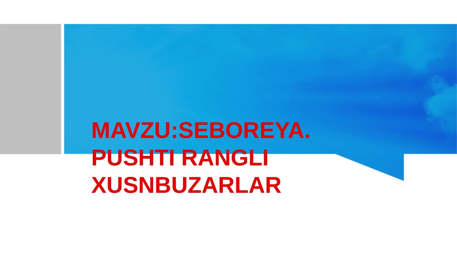 SEBOREYA . PUSHTI RANGLI XUSNBUZARLAR