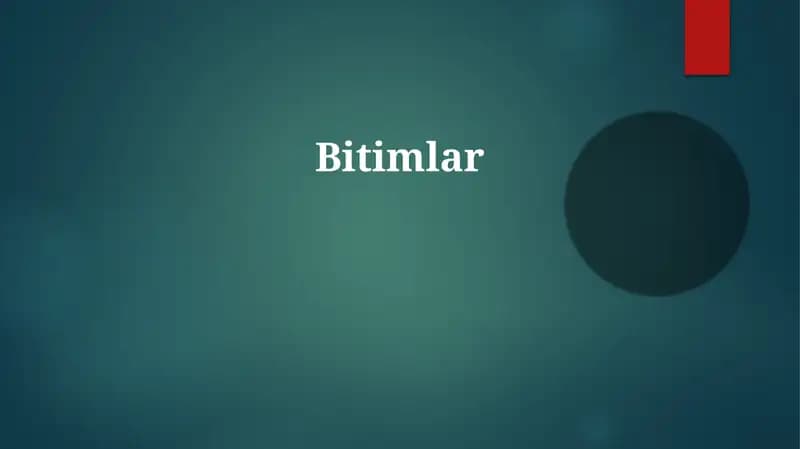 Bitimlar