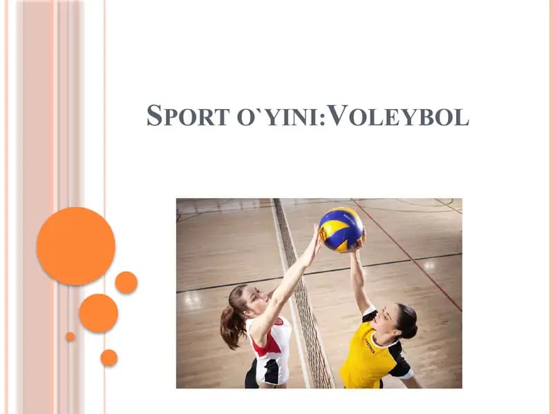 Voleybol