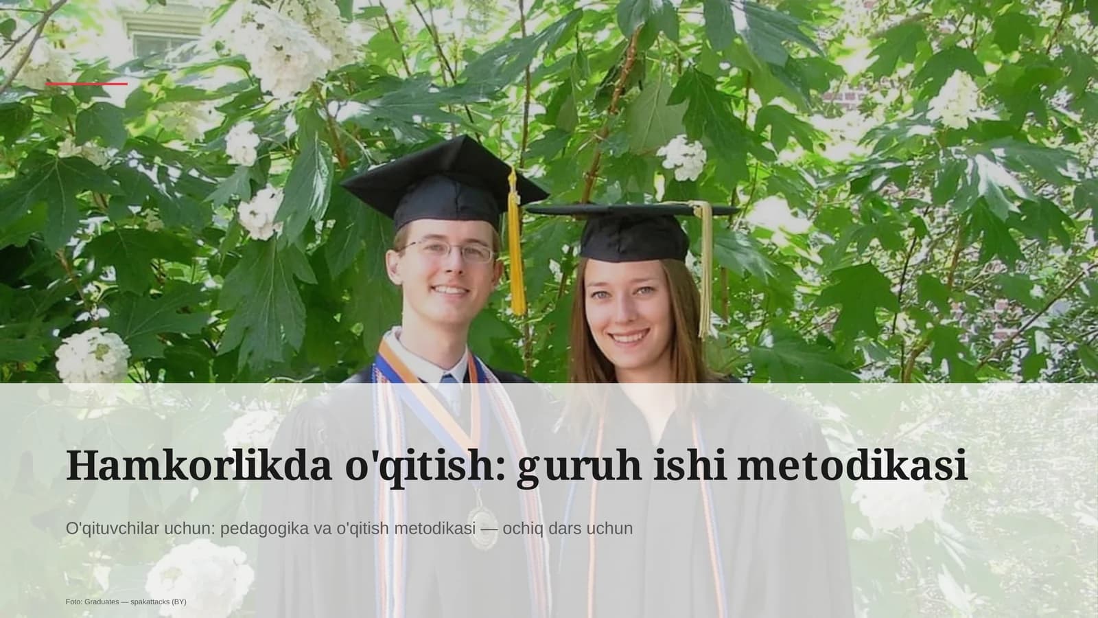 Hamkorlikda o'qitish: guruh ishi metodikasi
