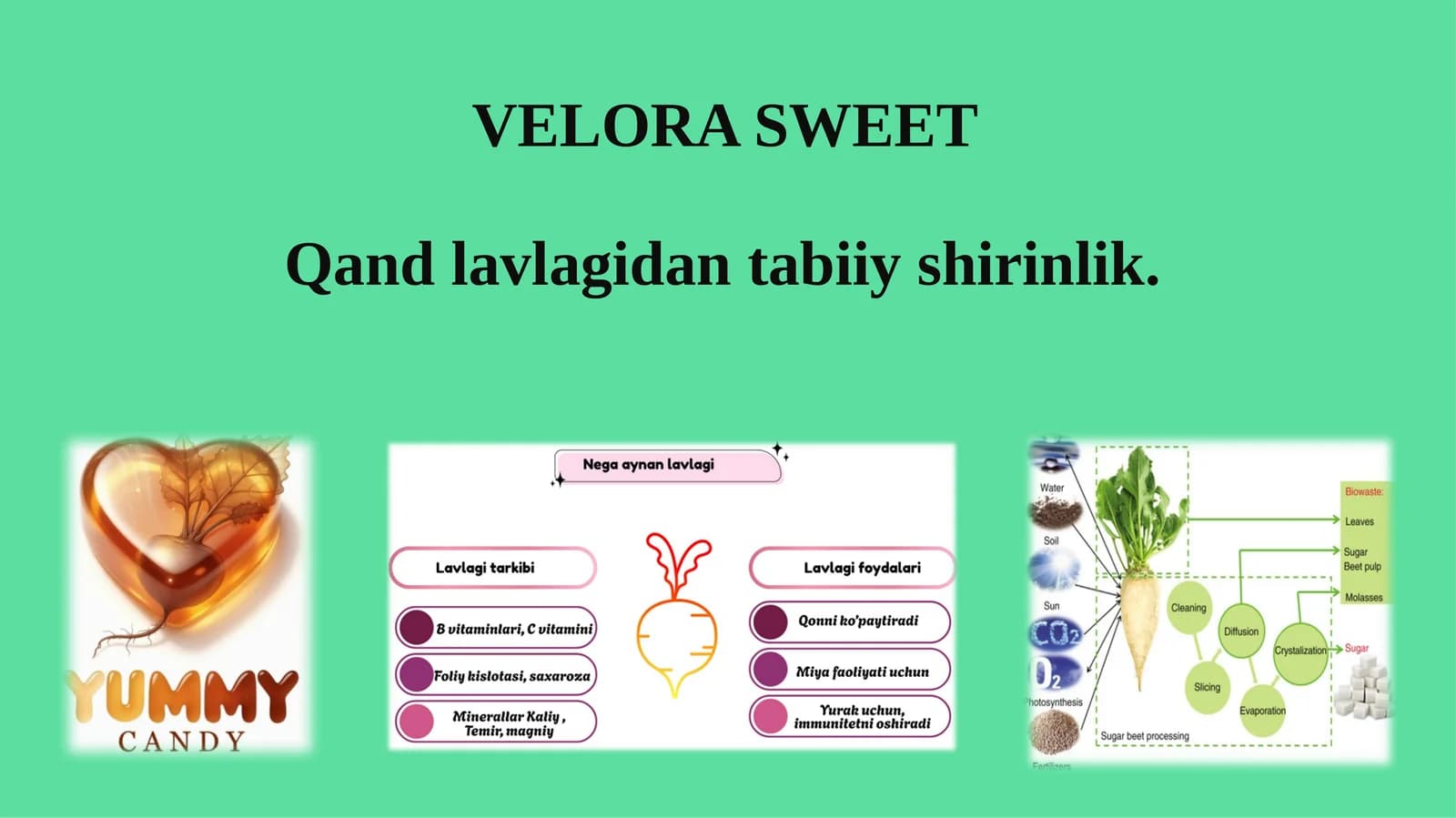Qand lavlagidan tabiiy shirinlik
