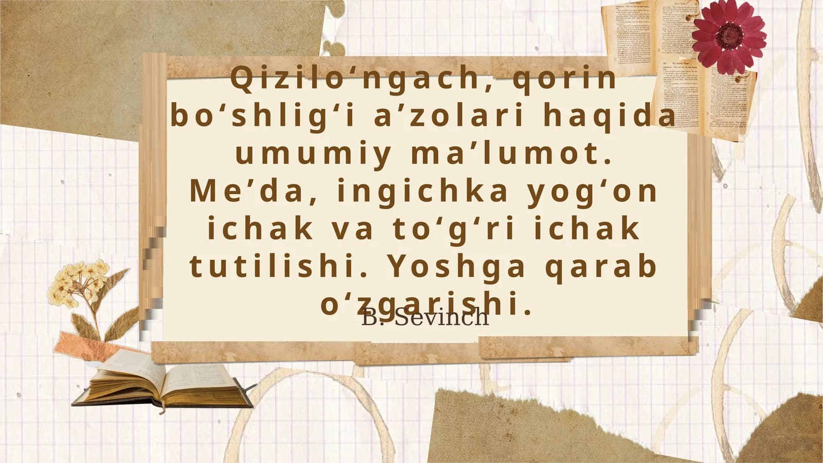 Qiziloʻngach va Qorin Boʻshligʻi Aʼzolari