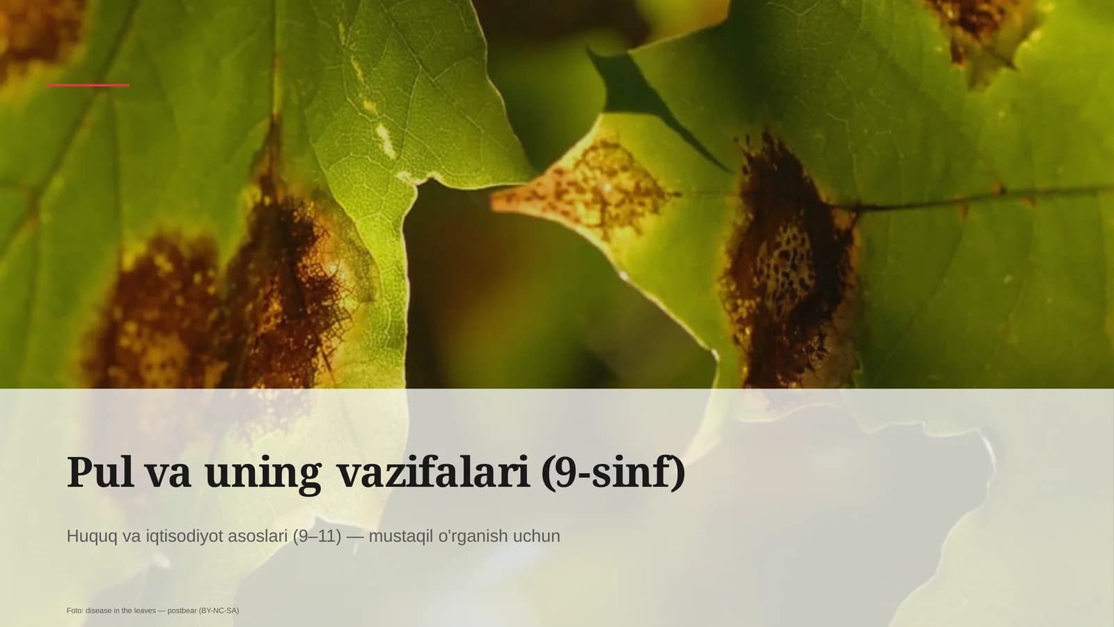 Pul va uning vazifalari (9-sinf)
