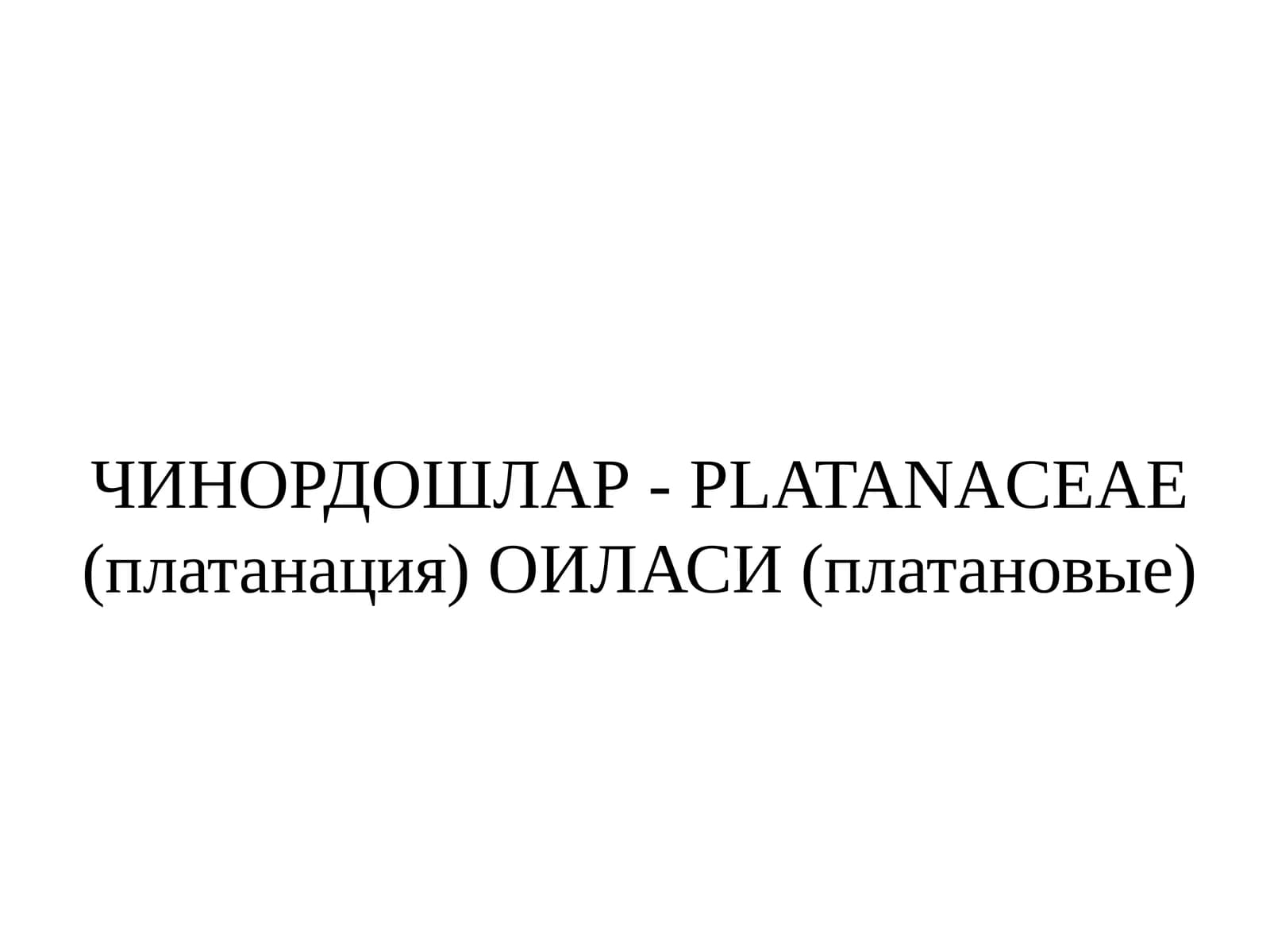 ЧИНОРДОШЛАР- PLATANACEAE (платанация) ОИЛАСИ (платановые)
